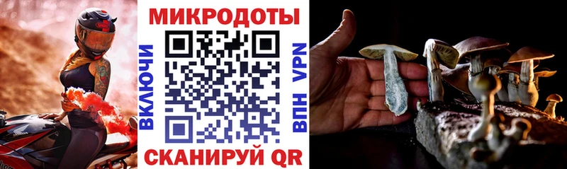 Галлюциногенные грибы Magic Shrooms сколько стоит даркнет клад Медногорск